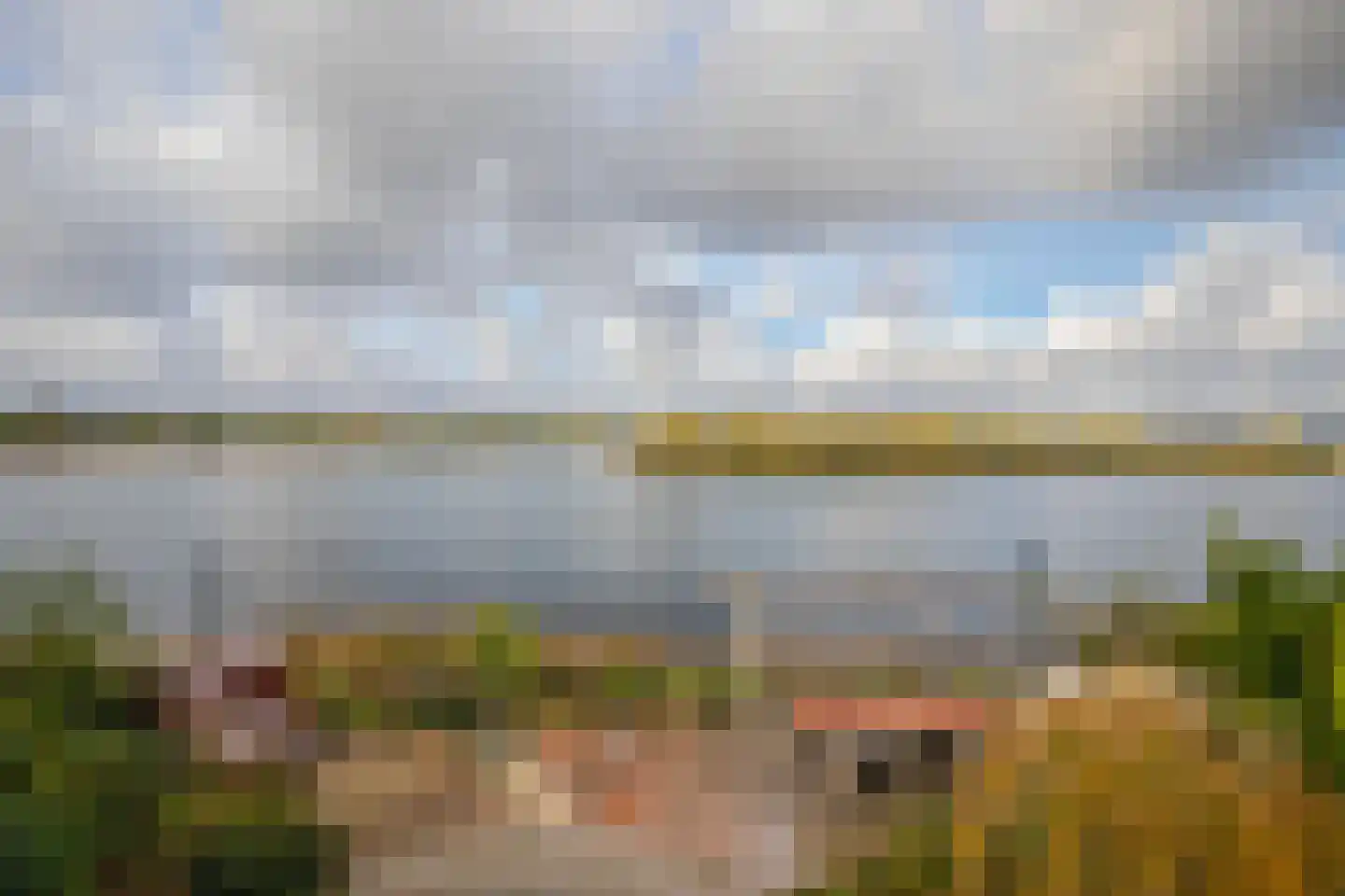IJsvogel 19 Lathum foto 2
