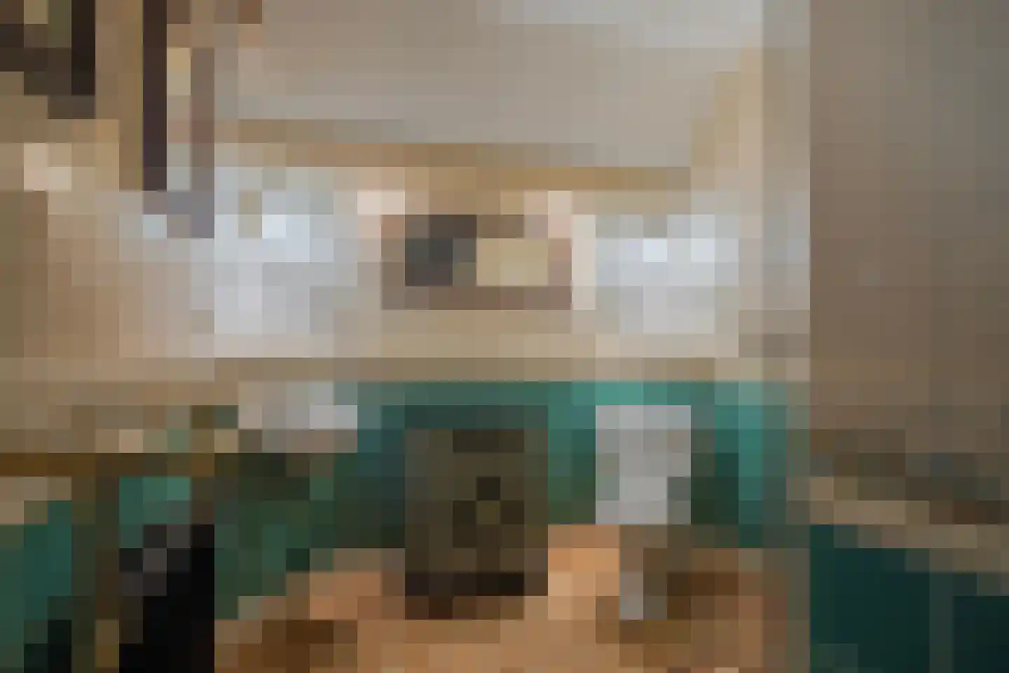 IJsvogel 19 Lathum thumbnail 20