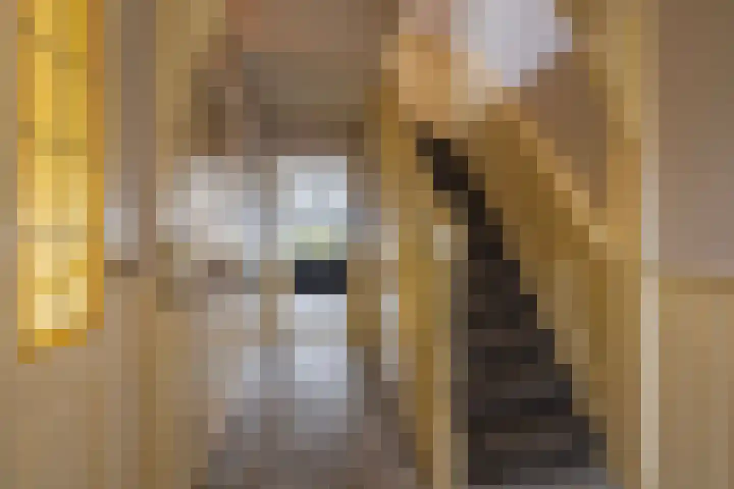 IJsvogel 19 Lathum thumbnail 24