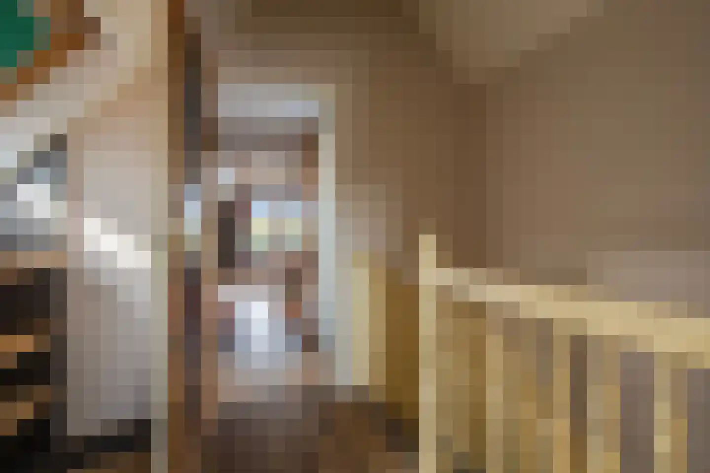 IJsvogel 19 Lathum thumbnail 25