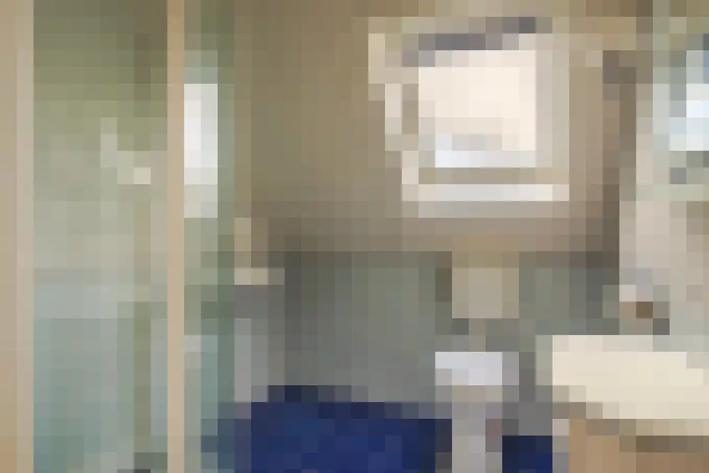 IJsvogel 19 Lathum thumbnail 26