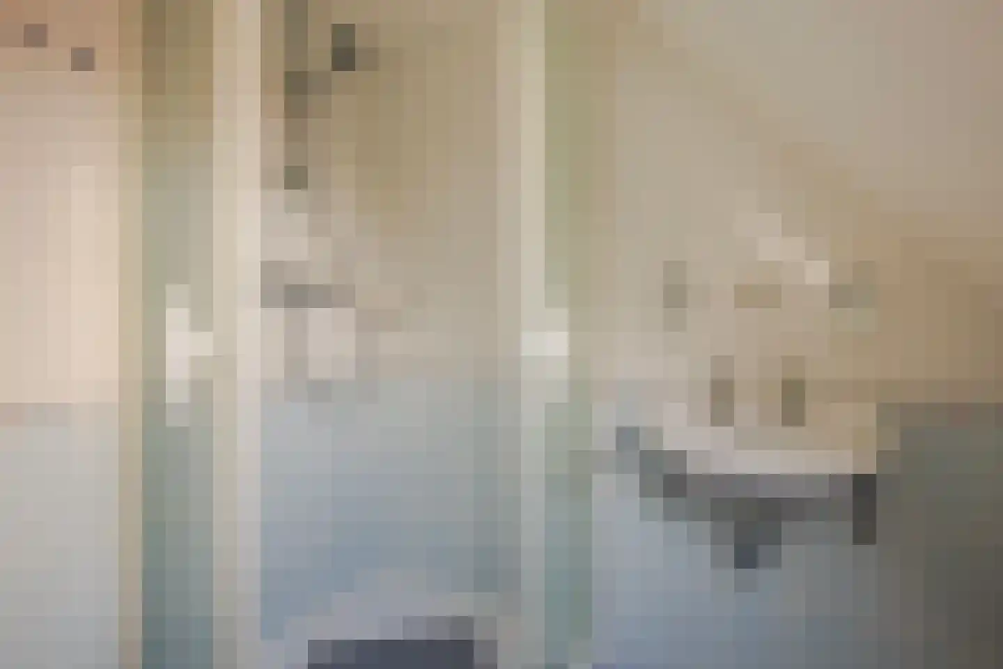 IJsvogel 19 Lathum thumbnail 27