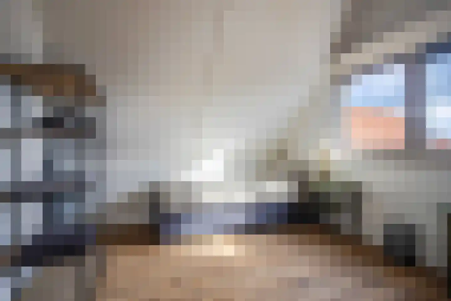 IJsvogel 19 Lathum thumbnail 28