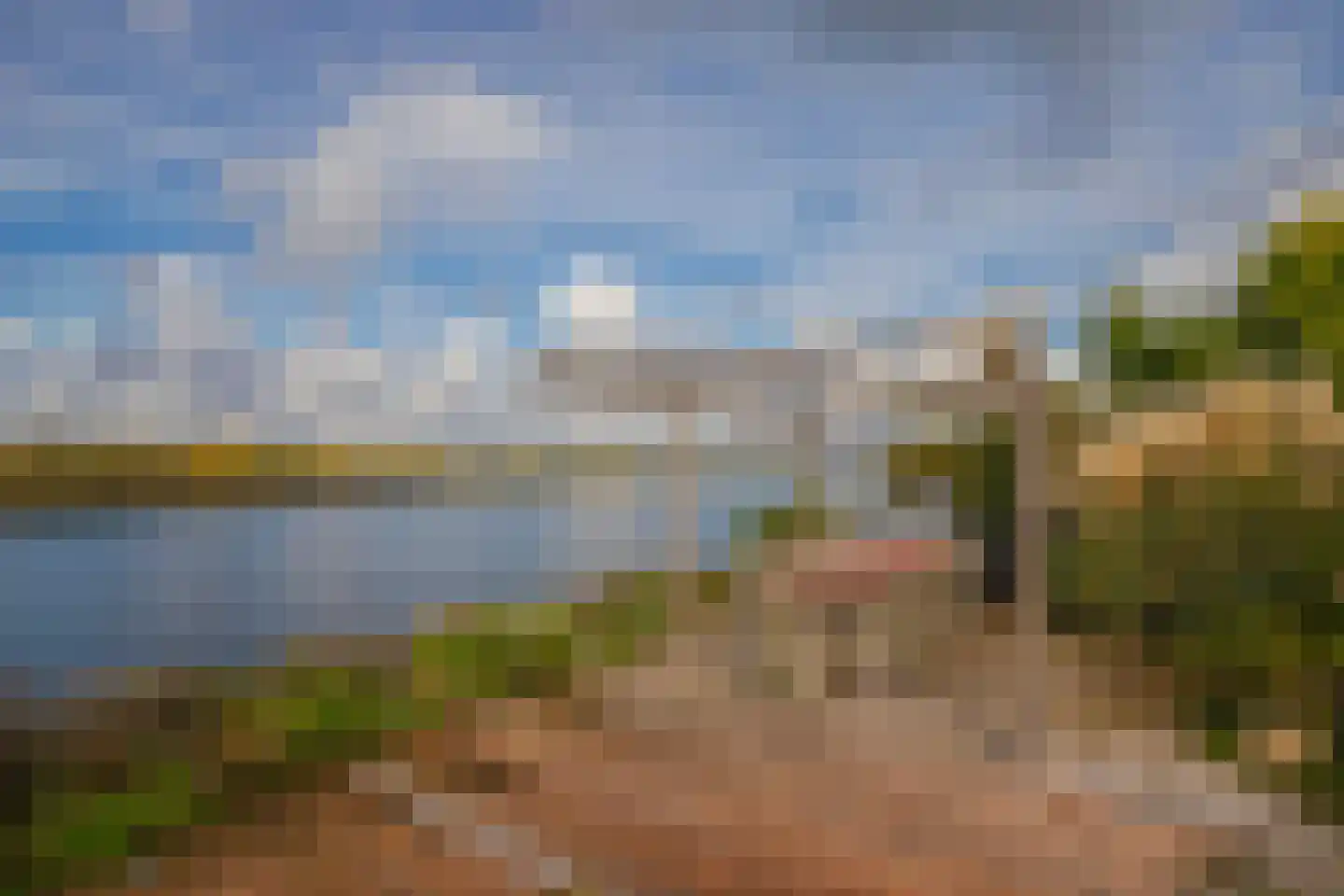 IJsvogel 19 Lathum foto 3