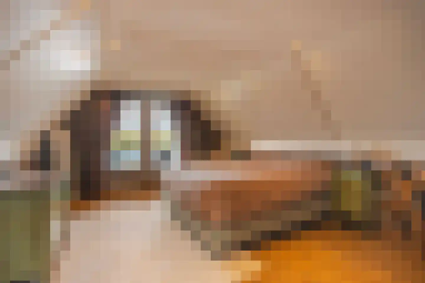 IJsvogel 19 Lathum thumbnail 30