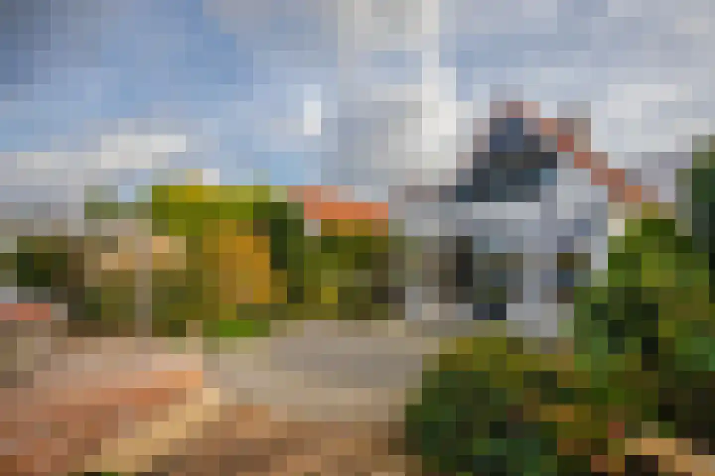 IJsvogel 19 Lathum thumbnail 34