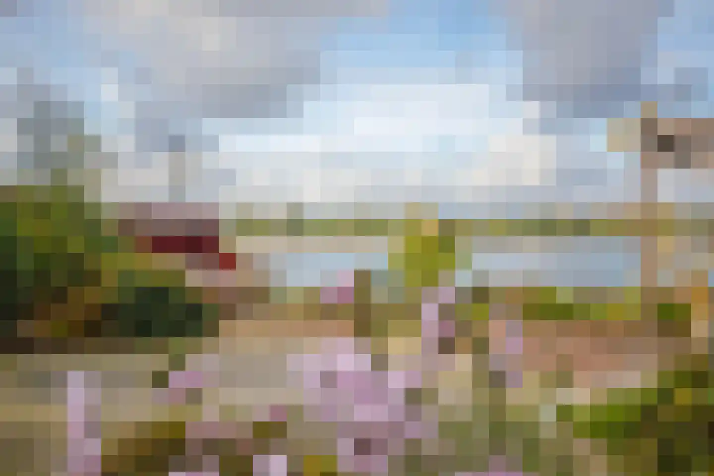 IJsvogel 19 Lathum thumbnail 35