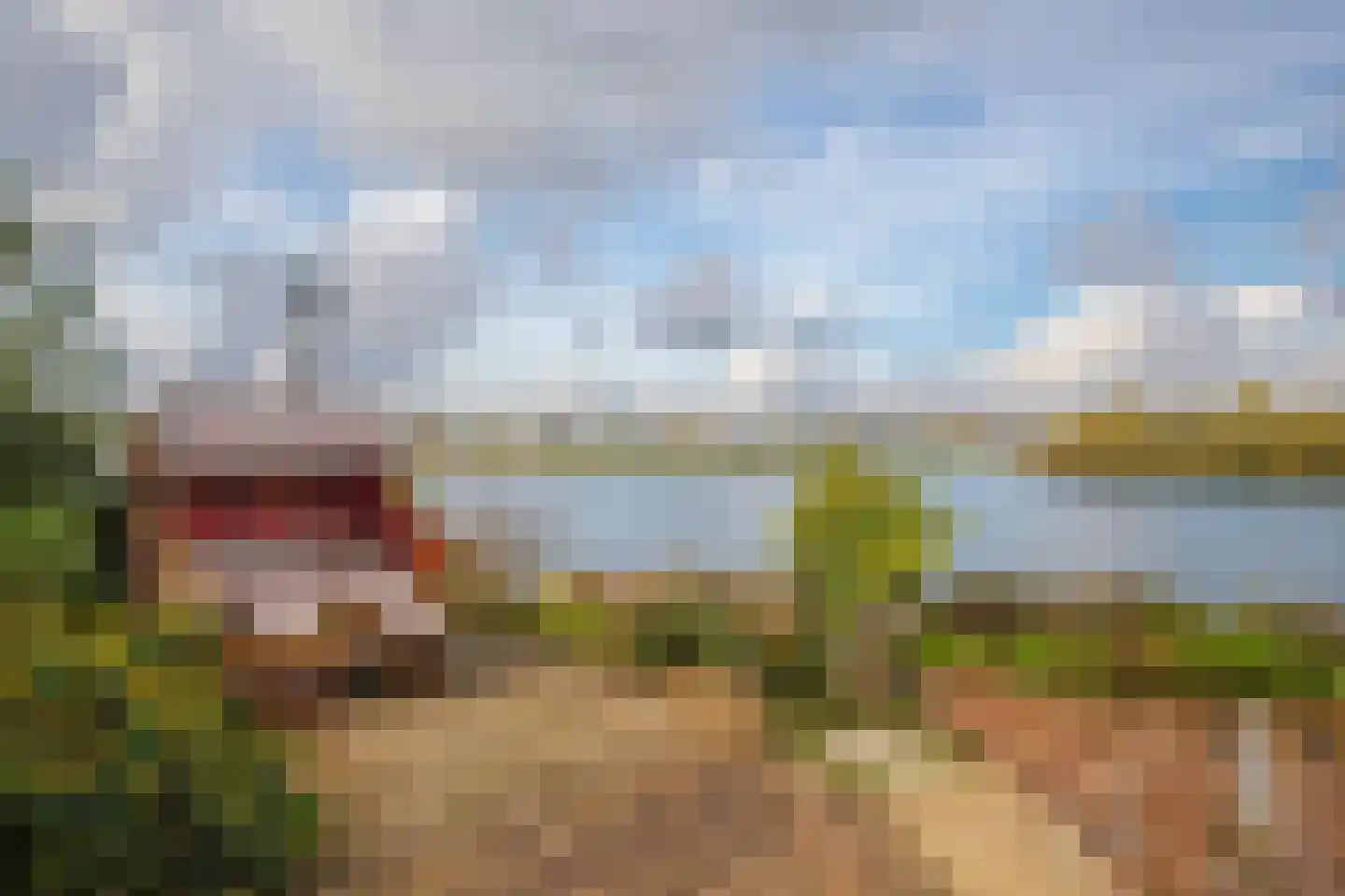 IJsvogel 19 Lathum thumbnail 36