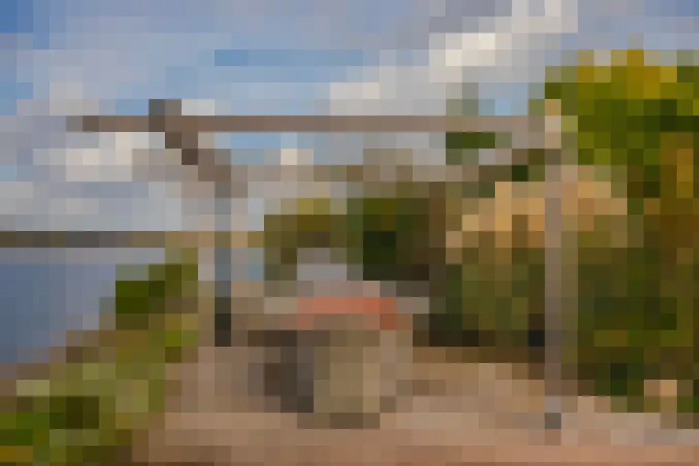 IJsvogel 19 Lathum thumbnail 40