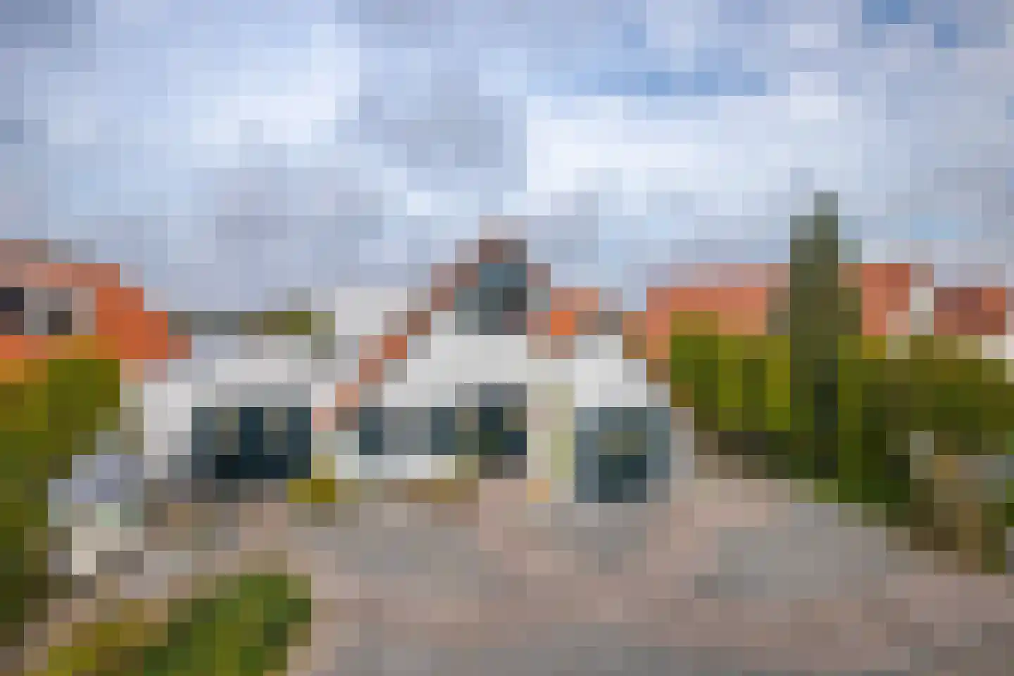 IJsvogel 19 Lathum thumbnail 44