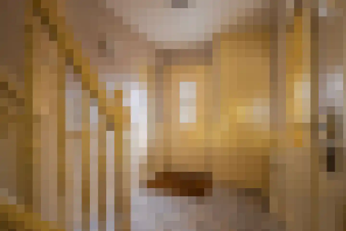 IJsvogel 19 Lathum thumbnail 8