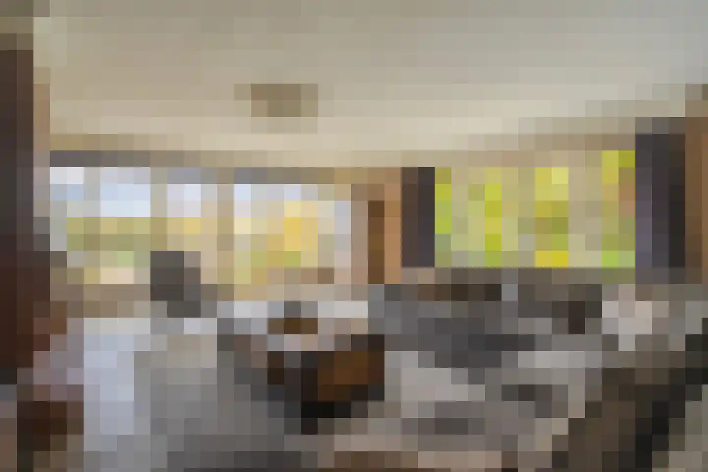 IJsvogel 19 Lathum thumbnail 9