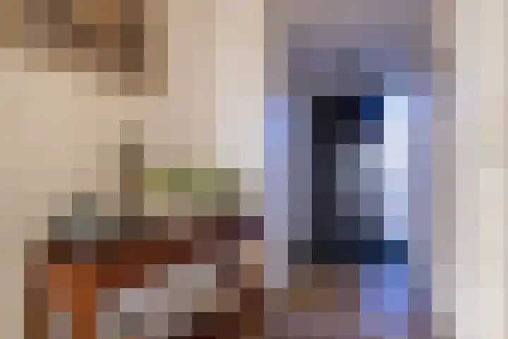 IJsvogel 23 Blokker thumbnail 10