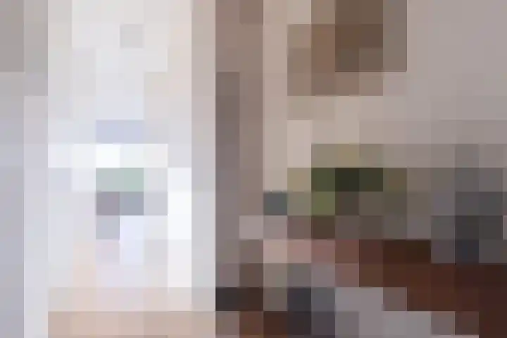 IJsvogel 23 Blokker thumbnail 11