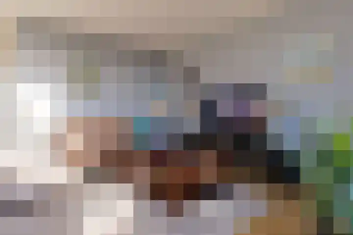 IJsvogel 23 Blokker thumbnail 14