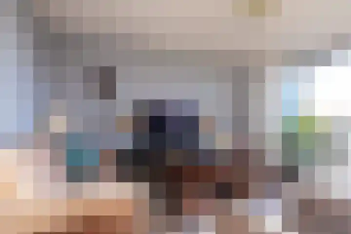 IJsvogel 23 Blokker thumbnail 15