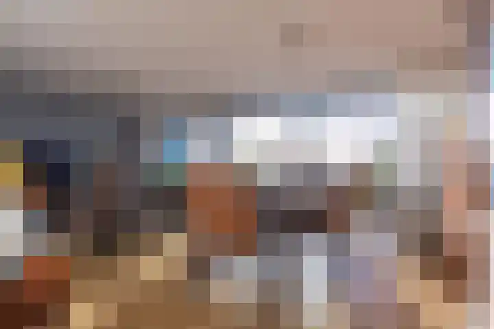 IJsvogel 23 Blokker thumbnail 17