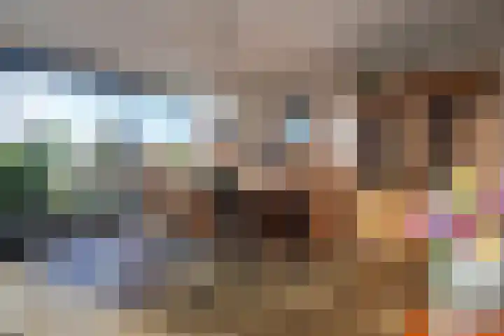 IJsvogel 23 Blokker thumbnail 18