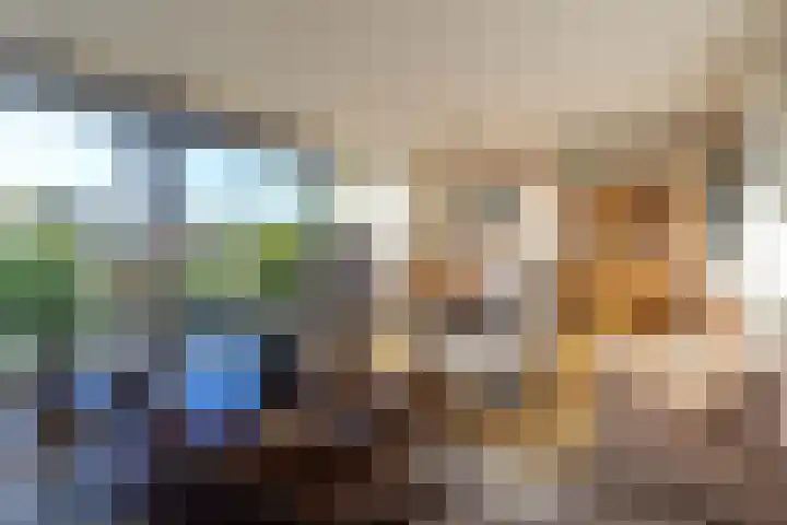 IJsvogel 23 Blokker foto 2