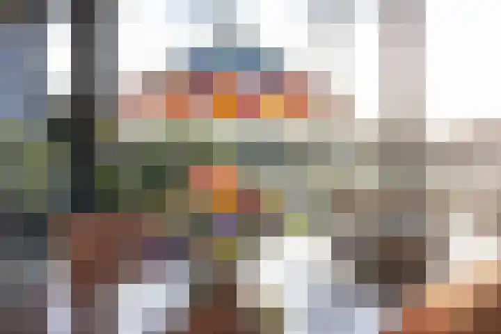 IJsvogel 23 Blokker thumbnail 20