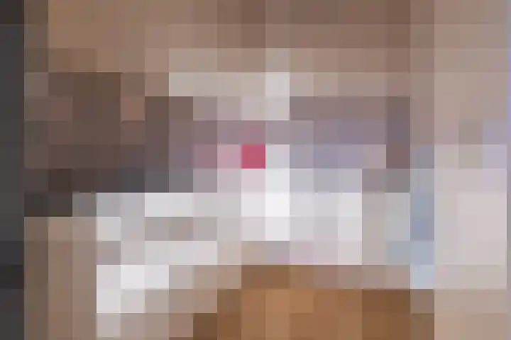 IJsvogel 23 Blokker thumbnail 24