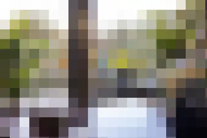 IJsvogel 23 Blokker thumbnail 25