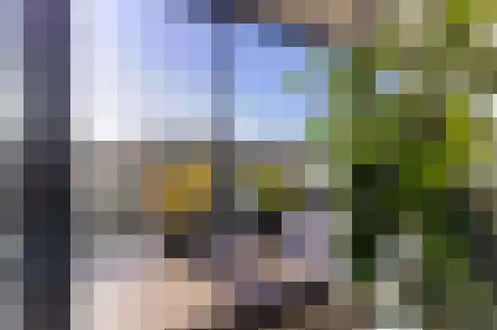 IJsvogel 23 Blokker thumbnail 26