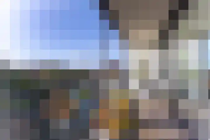 IJsvogel 23 Blokker thumbnail 27