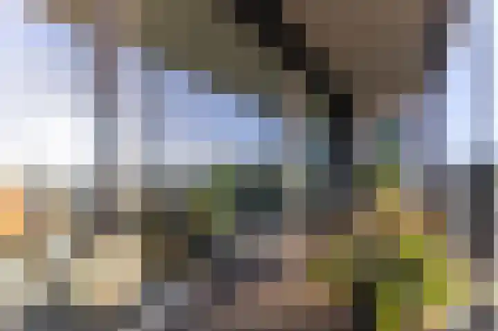 IJsvogel 23 Blokker thumbnail 28