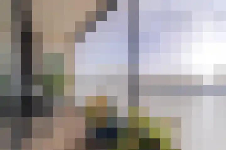 IJsvogel 23 Blokker thumbnail 29