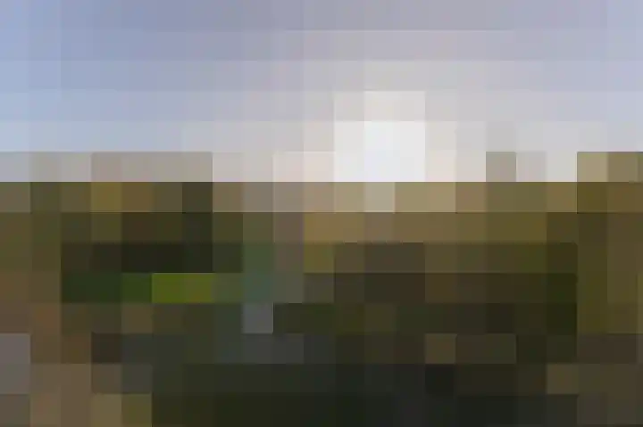IJsvogel 23 Blokker thumbnail 30