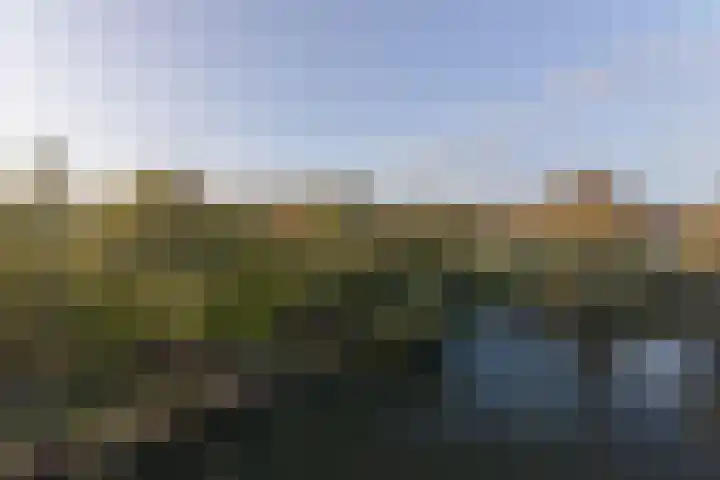 IJsvogel 23 Blokker thumbnail 31