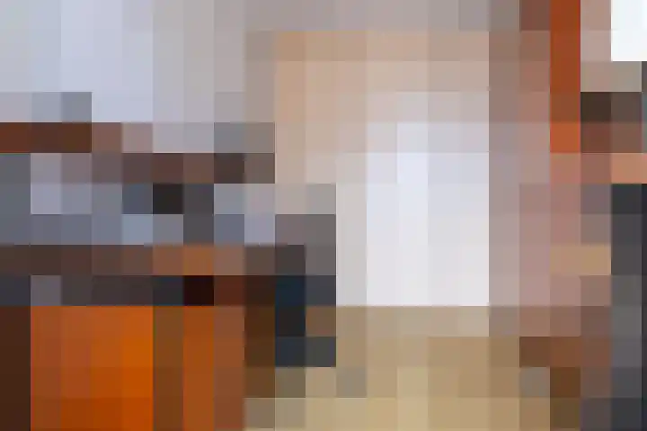 IJsvogel 23 Blokker thumbnail 33