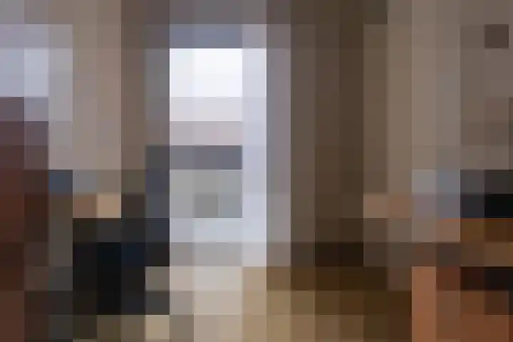 IJsvogel 23 Blokker thumbnail 34