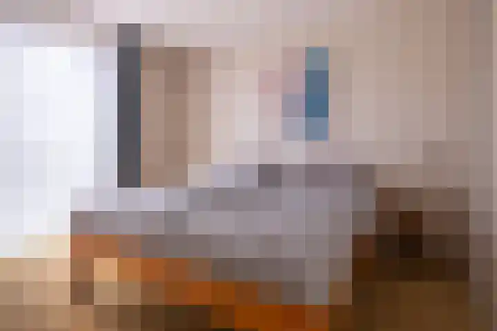 IJsvogel 23 Blokker thumbnail 35