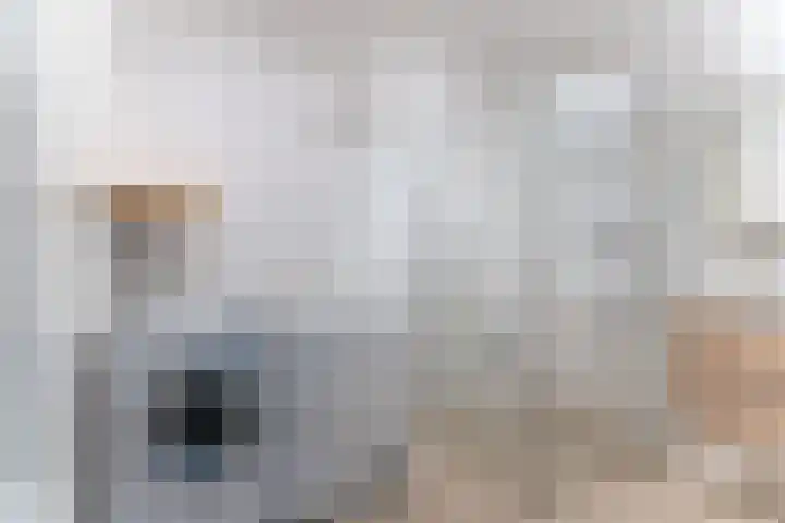 IJsvogel 23 Blokker thumbnail 38