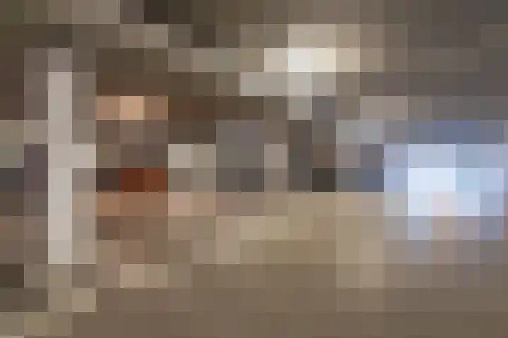 IJsvogel 23 Blokker thumbnail 4