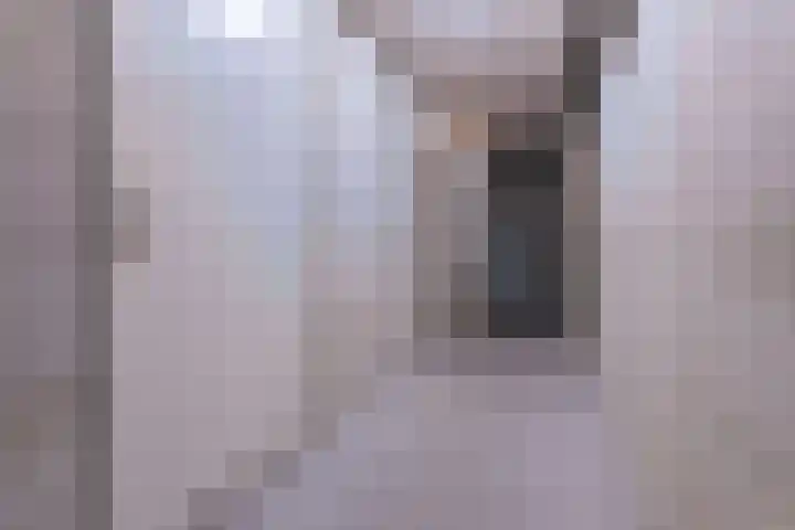 IJsvogel 23 Blokker thumbnail 41