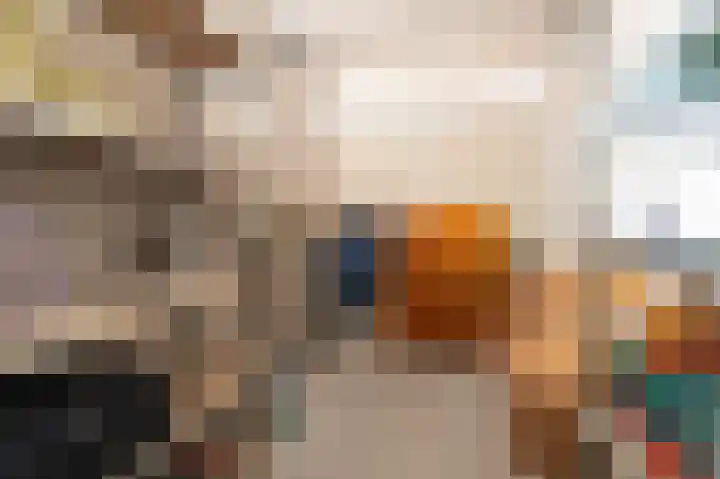 IJsvogel 23 Blokker thumbnail 42