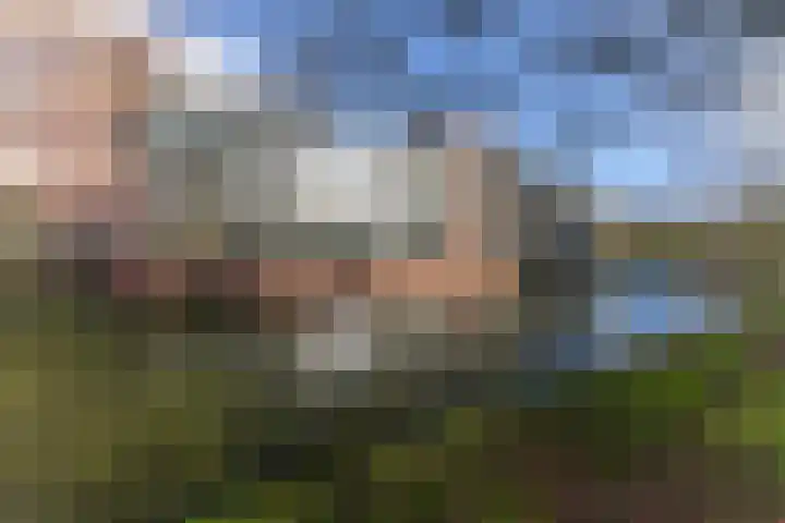 IJsvogel 23 Blokker thumbnail 44