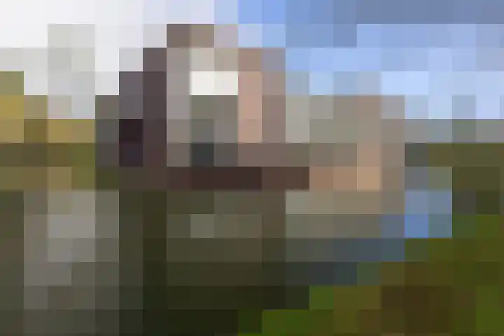 IJsvogel 23 Blokker thumbnail 45