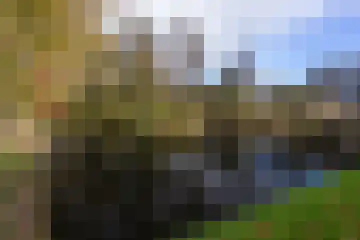 IJsvogel 23 Blokker thumbnail 48