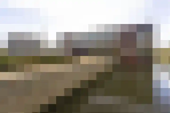 IJsvogel 23 Blokker thumbnail 49