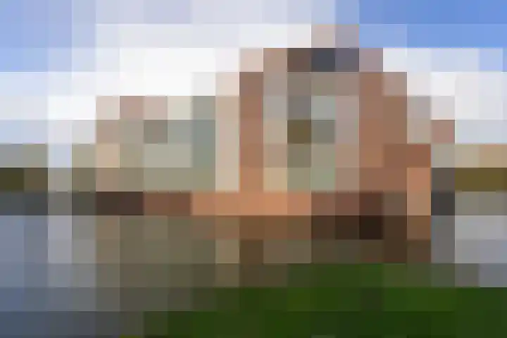 IJsvogel 23 Blokker thumbnail 5