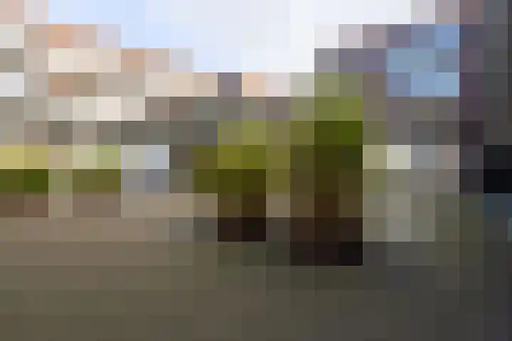 IJsvogel 23 Blokker thumbnail 50