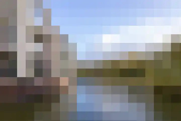 IJsvogel 23 Blokker thumbnail 6