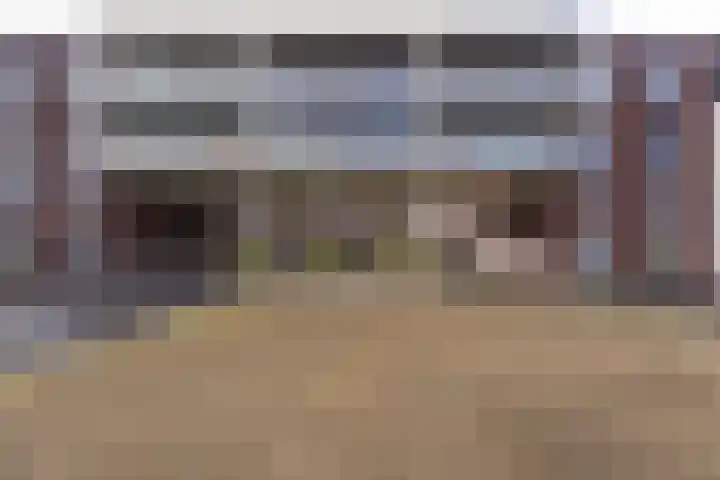 IJsvogel 23 Blokker thumbnail 7