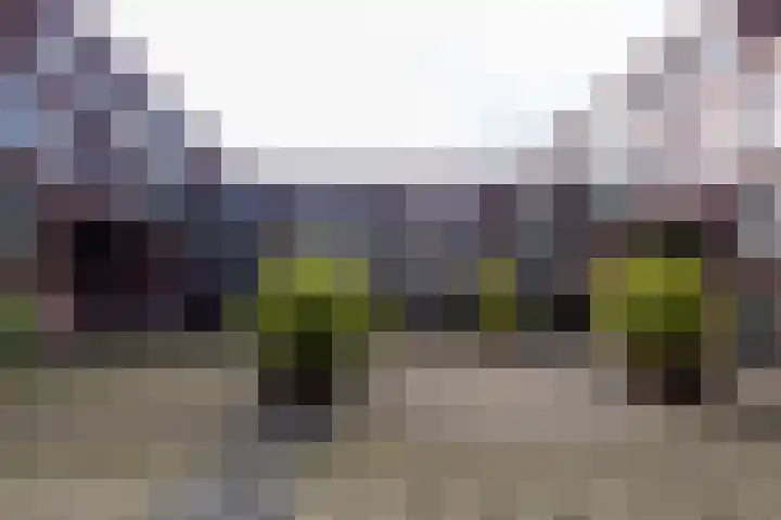 IJsvogel 23 Blokker thumbnail 8