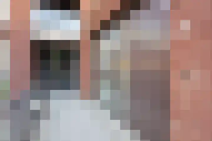 IJsvogel 23 Blokker thumbnail 9