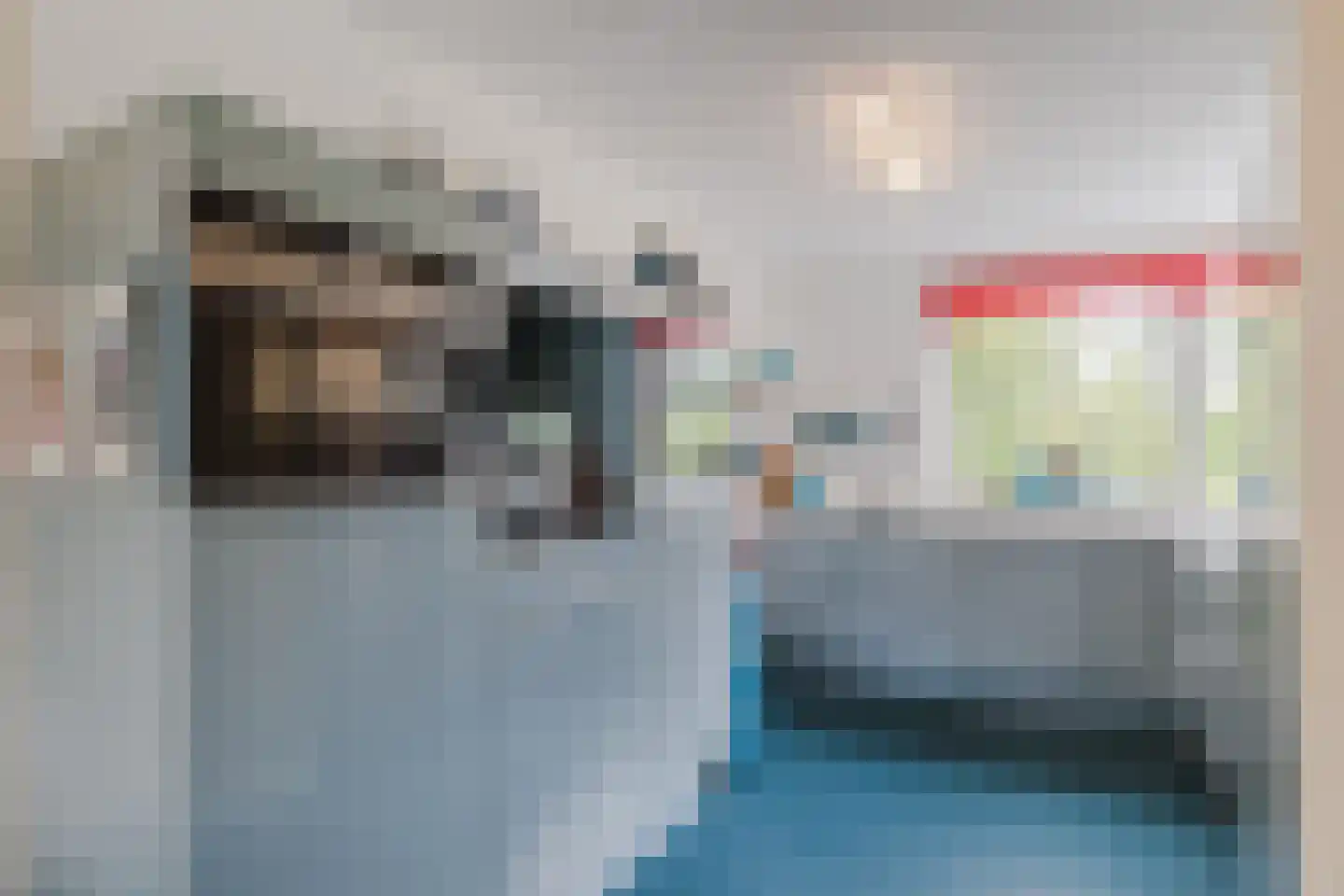 IJsvogel 25 Maarssen thumbnail 13